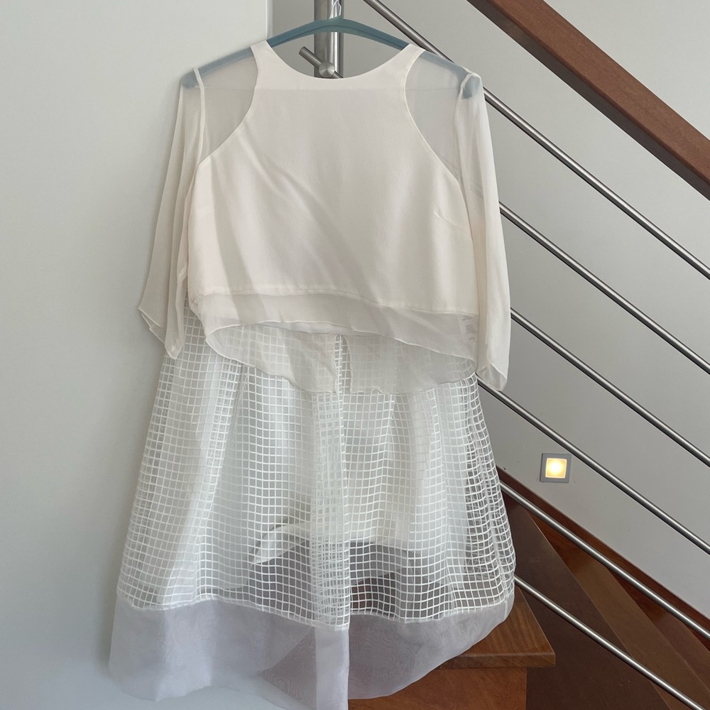 Elizabeth and James Cream Sheer cropped top and skirt